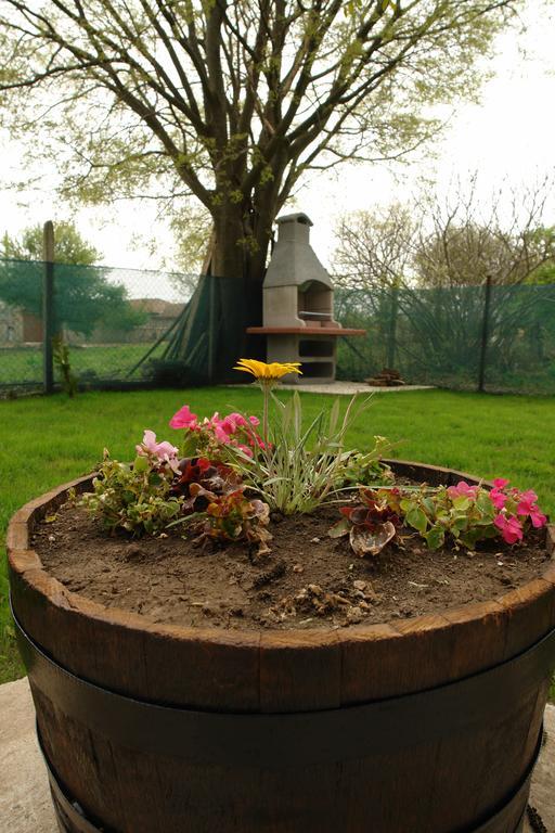 Nadya Holiday Home Krapec Zewnętrze zdjęcie